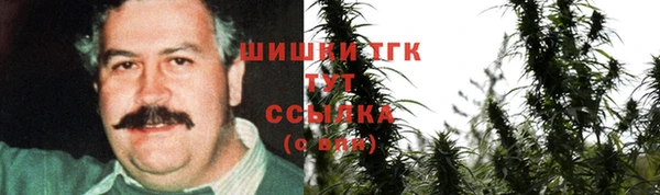 прущие грибы Армянск