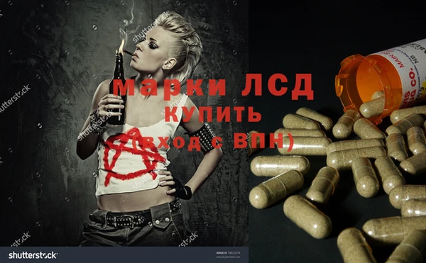сатива Алзамай