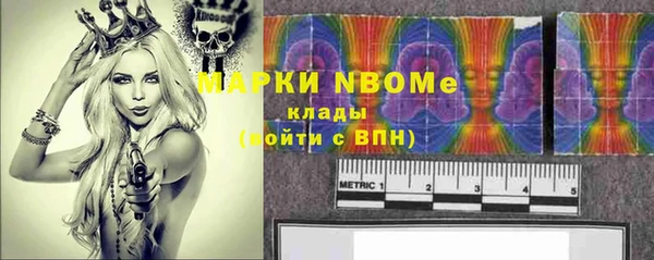прущие грибы Армянск