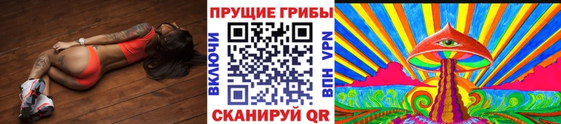 Галлюциногенные грибы Psilocybine cubensis  Волгодонск 